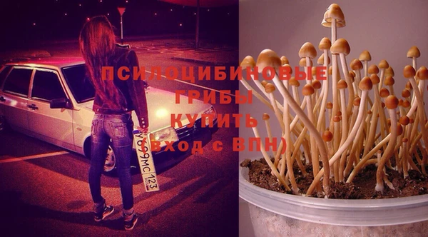 spice Чердынь