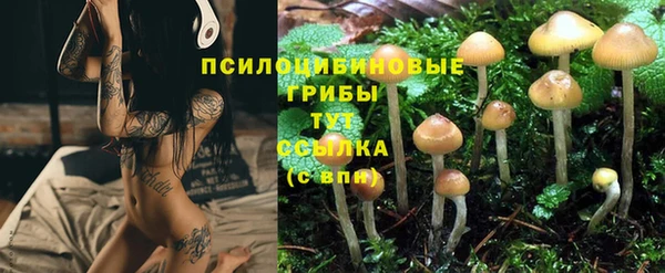 герыч Чегем