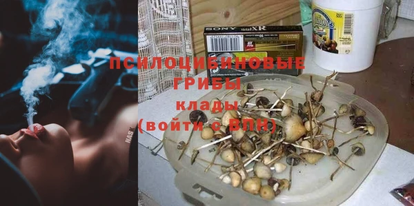 прущая мука Чекалин