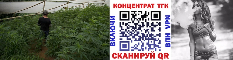 Дистиллят ТГК Wax  Березники 