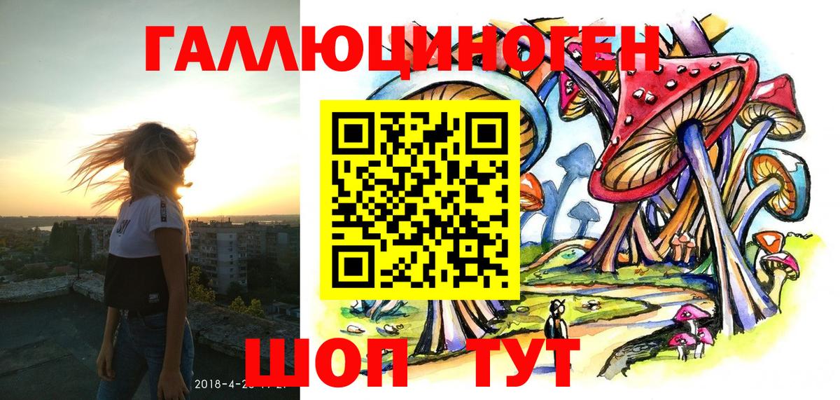 Галлюциногенные грибы Psilocybe Березники
