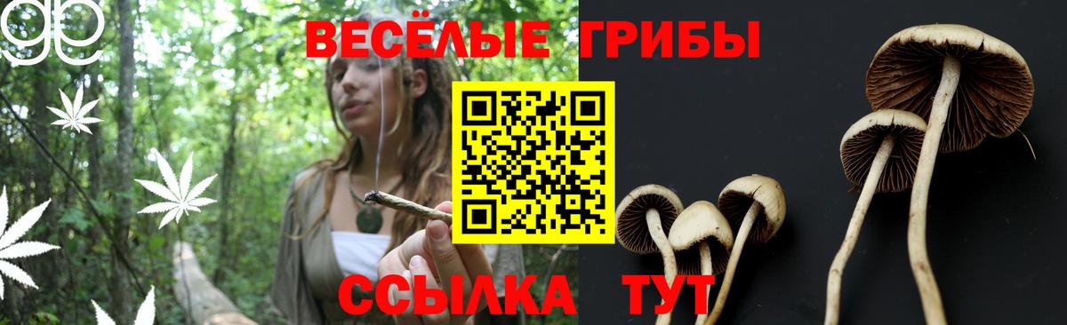 Псилоцибиновые грибы Cubensis  Вход с VPN  Березники 